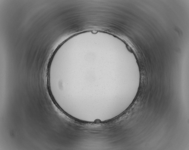 X0000113101143200909251026