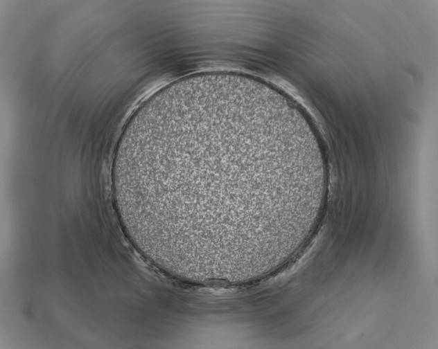 X0000113101145200909251026