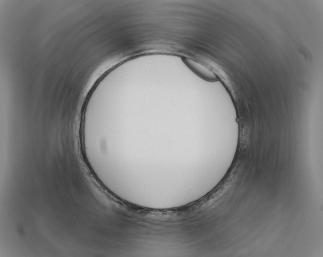 X0000113101146200909251026