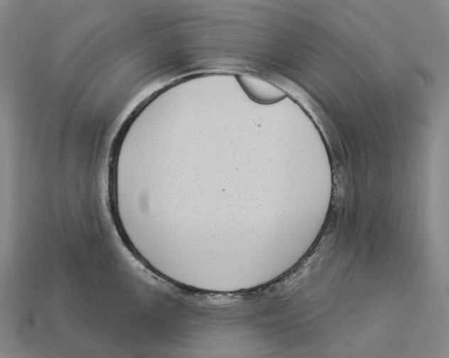 X0000113101147200909251026