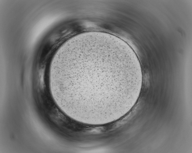 X0000113101150200909251026