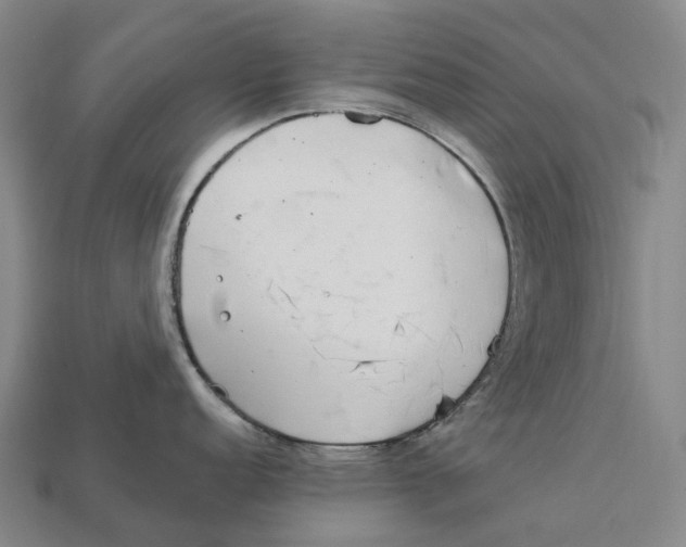 X0000113101152200909251026