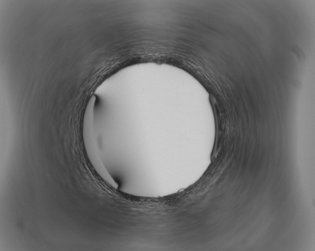 X0000113101153200909251025