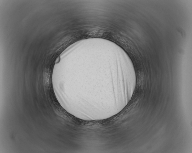 X0000113101154200909251025