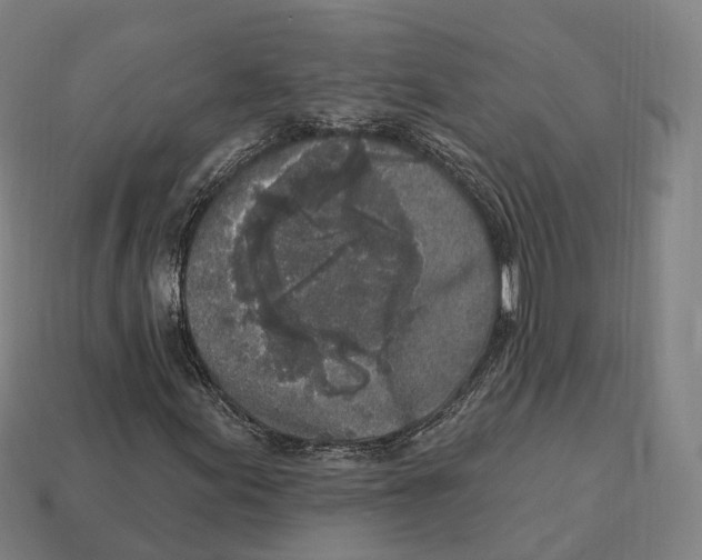 X0000113101155200909251025