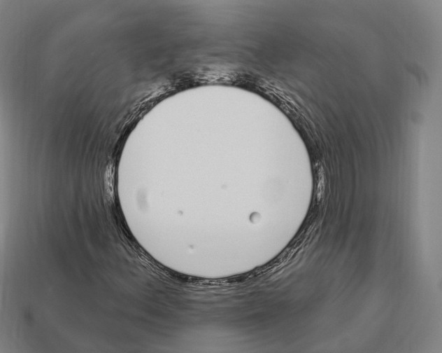 X0000113101156200909251025
