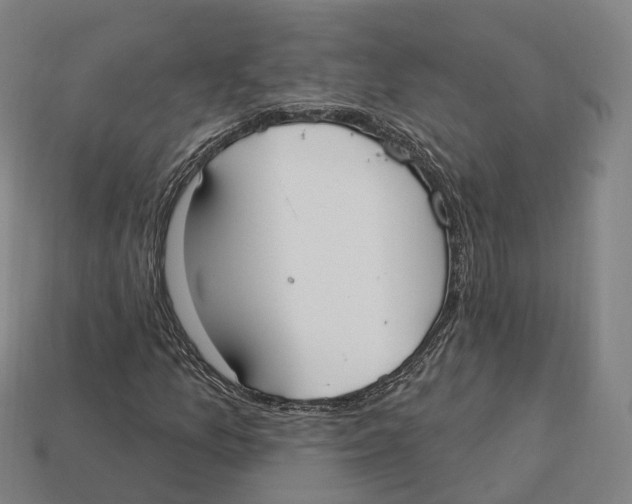 X0000113101157200909251025