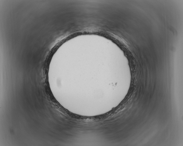 X0000113101160200909251025