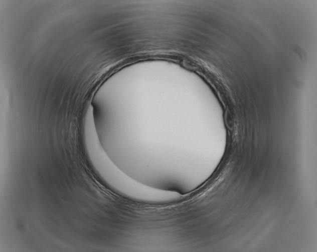 X0000113101161200909251025
