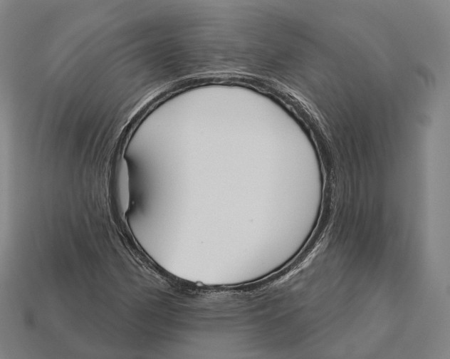 X0000113101162200909251025