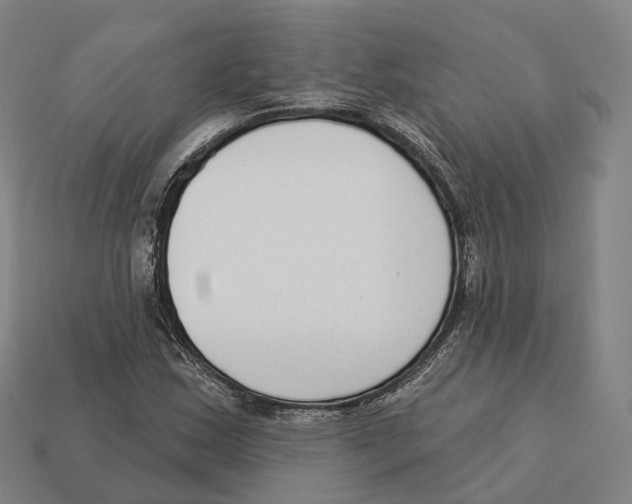 X0000113101163200909251025