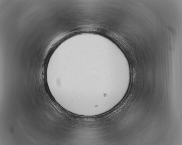 X0000113101164200909251025