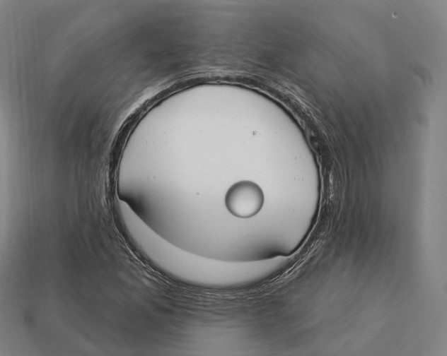 X0000113101165200909251025