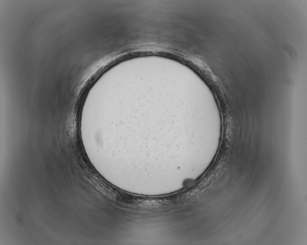 X0000113101167200909251025