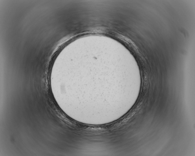 X0000113101168200909251025