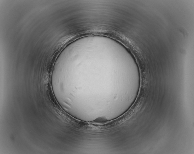X0000113101169200909251025