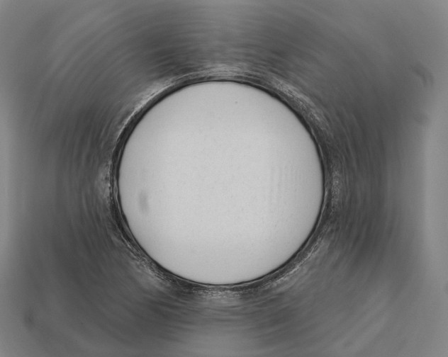 X0000113101170200909251025