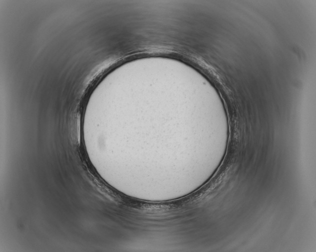 X0000113101171200909251025
