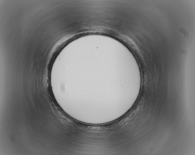 X0000113101172200909251025