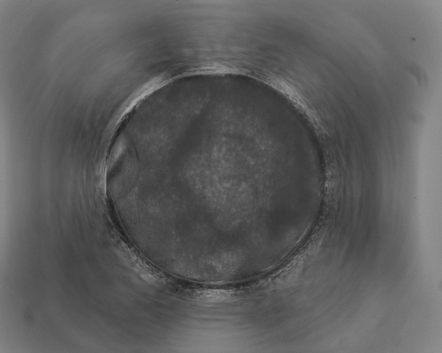 X0000113101173200909251025