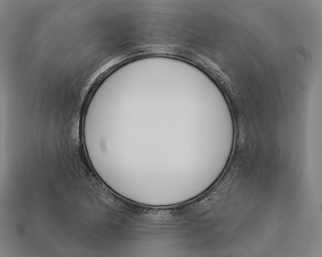 X0000113101174200909251025