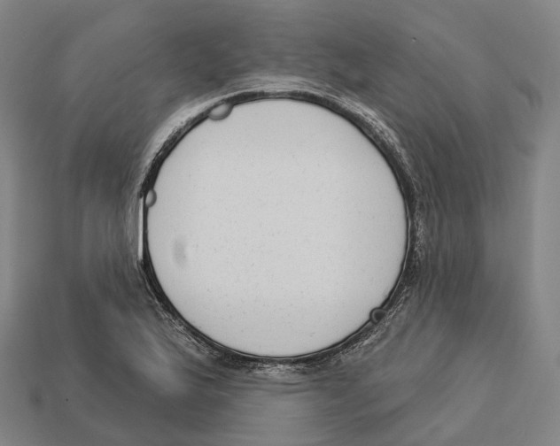 X0000113101175200909251025