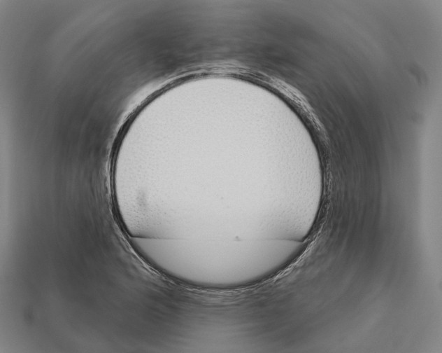 X0000113101176200909251025