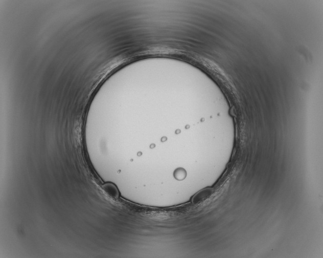 X0000113101177200909251025