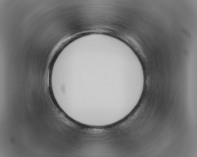 X0000113101180200909251025