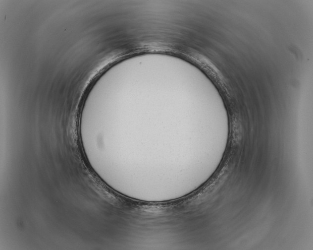 X0000113101182200909251025