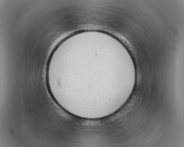X0000113101183200909251025