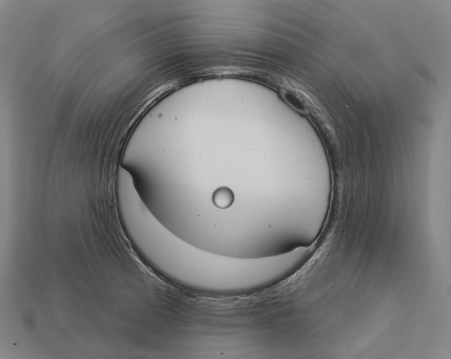 X0000113101185200909251025