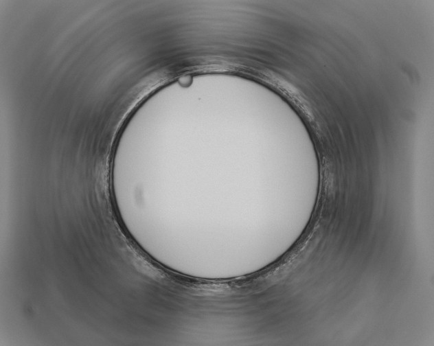 X0000113101186200909251025