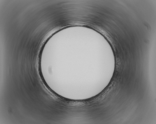 X0000113101187200909251025