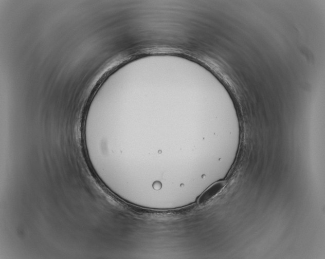 X0000113101189200909251025