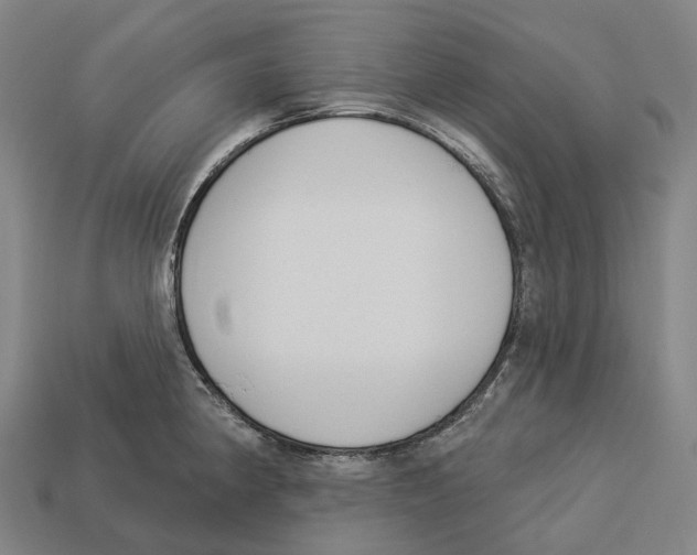 X0000113101190200909251025