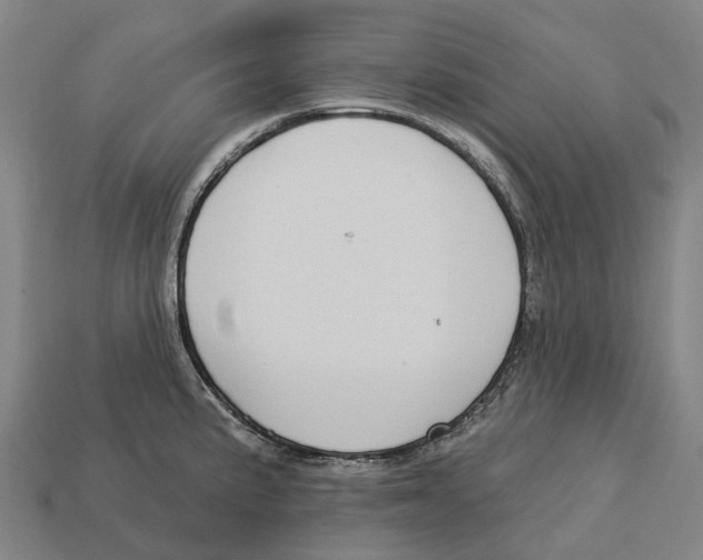 X0000113101191200909251025