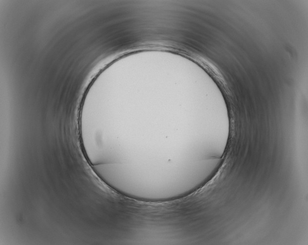 X0000113101192200909251025