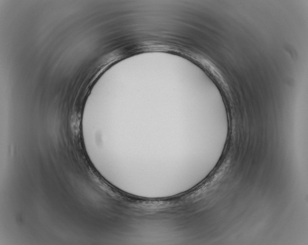 X0000113101193200909251025