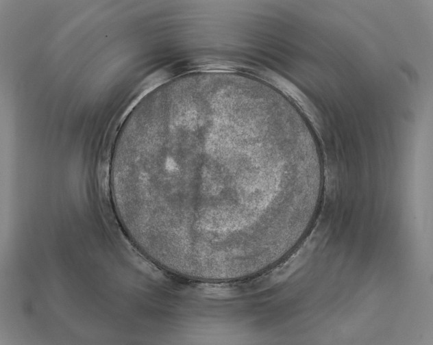 X0000113101194200909251025