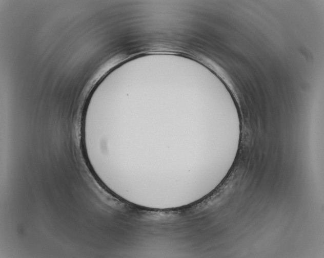 X0000113101195200909251025