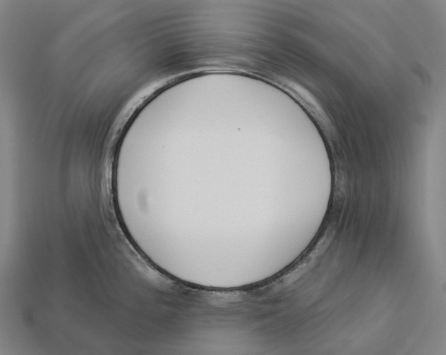 X0000113101196200909251025