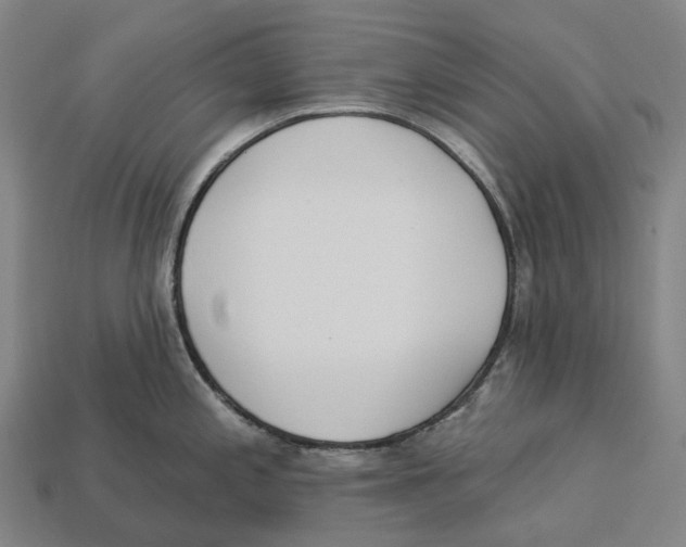 X0000113101197200909251025