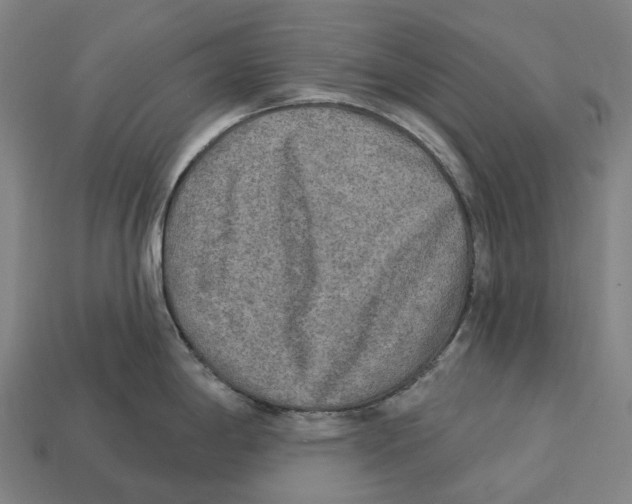 X0000113101198200909251025