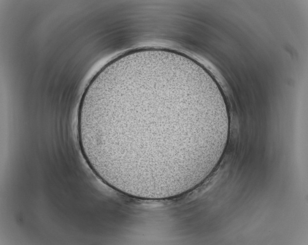 X0000113101199200909251025