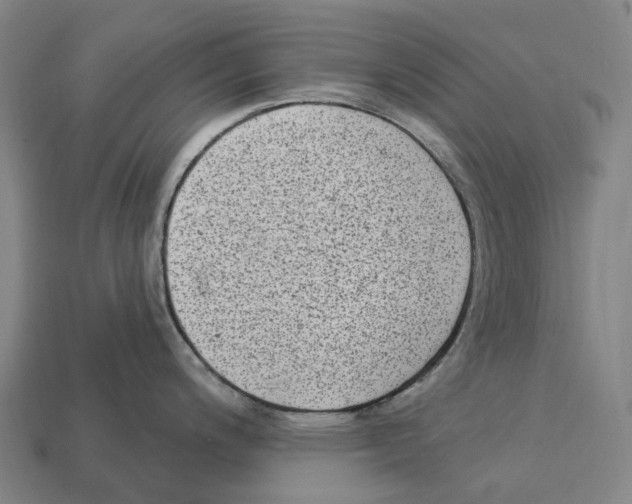 X0000113101200200909251025