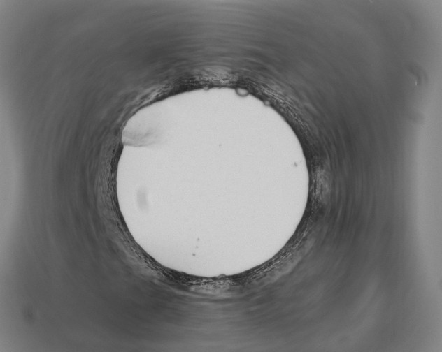 X0000113101201200909251024