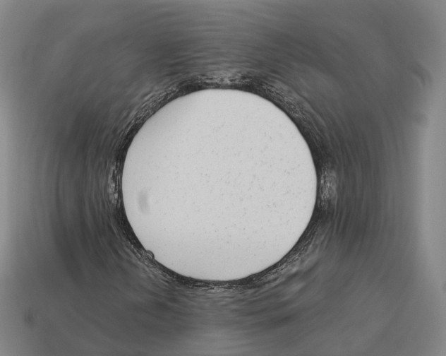 X0000113101202200909251024