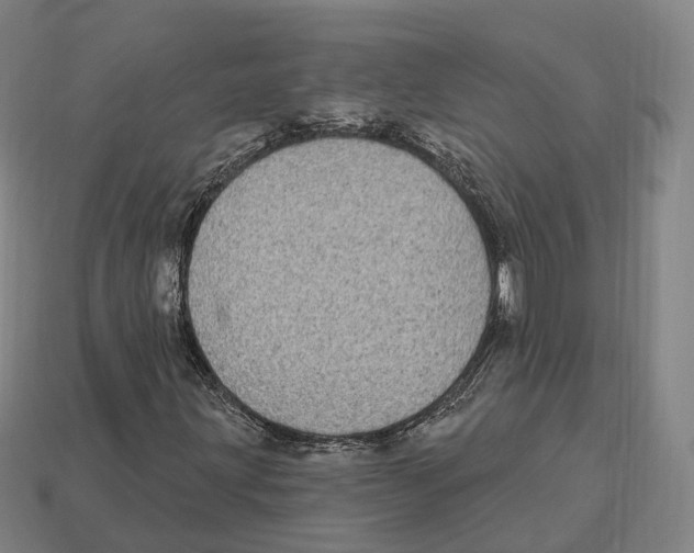 X0000113101203200909251024