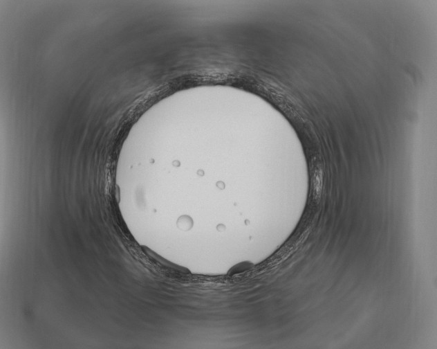 X0000113101204200909251024